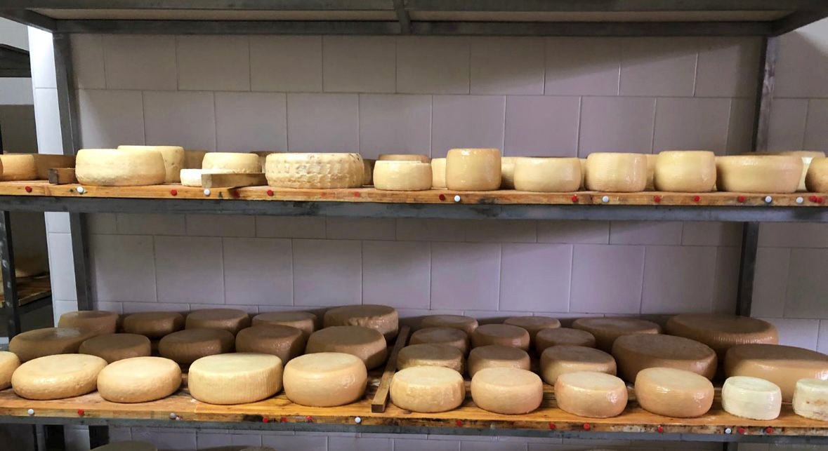 Formaggio semi stagionato di pecora